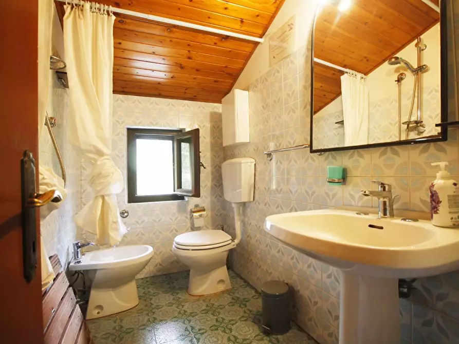 Immagine 50 di Casa colonica in vendita  a Larciano