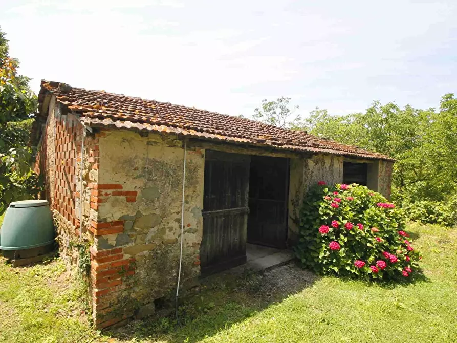 Immagine 8 di Casa colonica in vendita  a Larciano