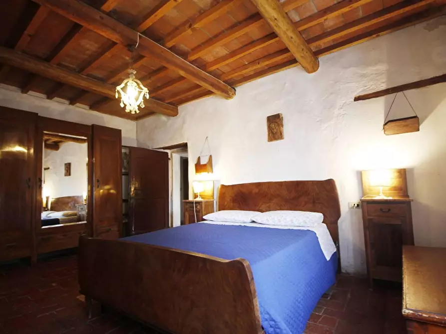 Immagine 30 di Casa colonica in vendita  a Larciano