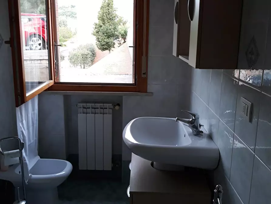 Immagine 11 di Appartamento in affitto  a Siena