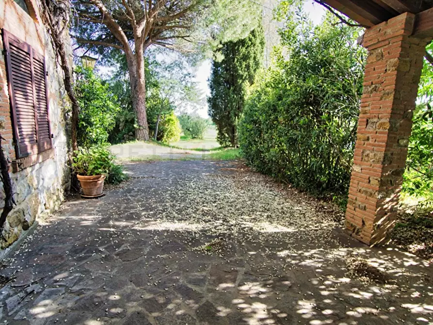 Immagine 60 di Casa semindipendente in vendita  a Suvereto