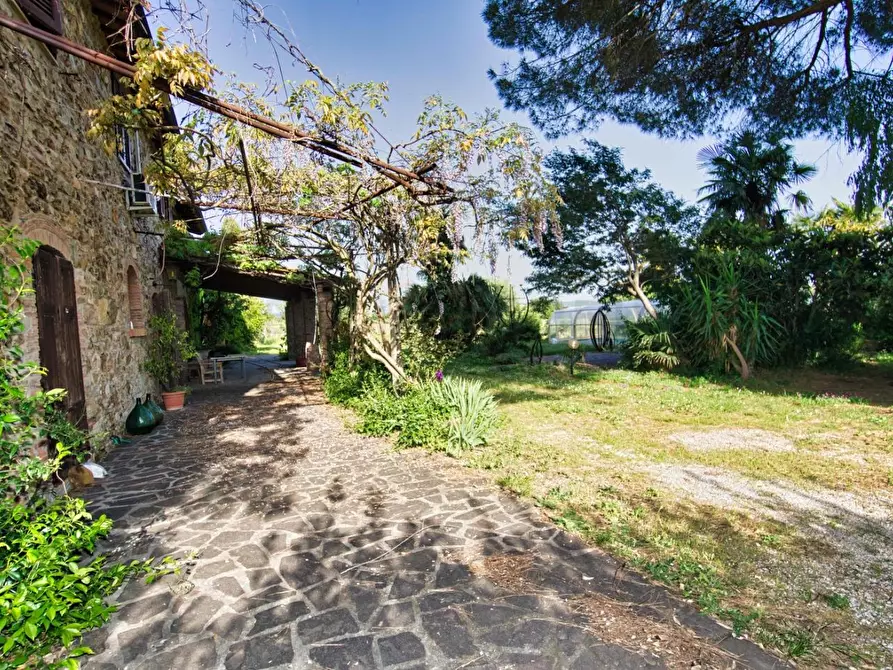 Immagine 52 di Casa semindipendente in vendita  a Suvereto