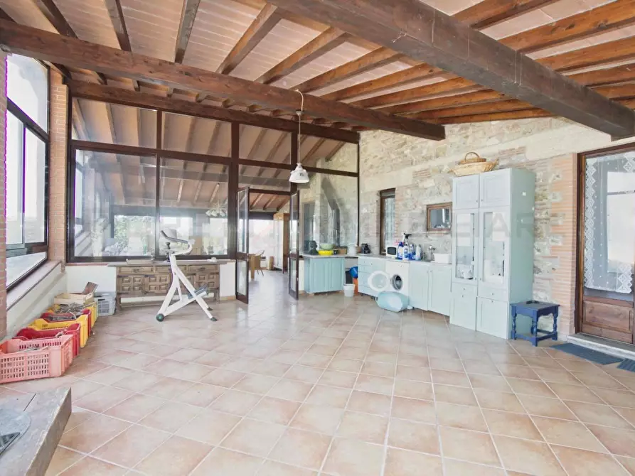 Immagine 46 di Casa semindipendente in vendita  a Suvereto