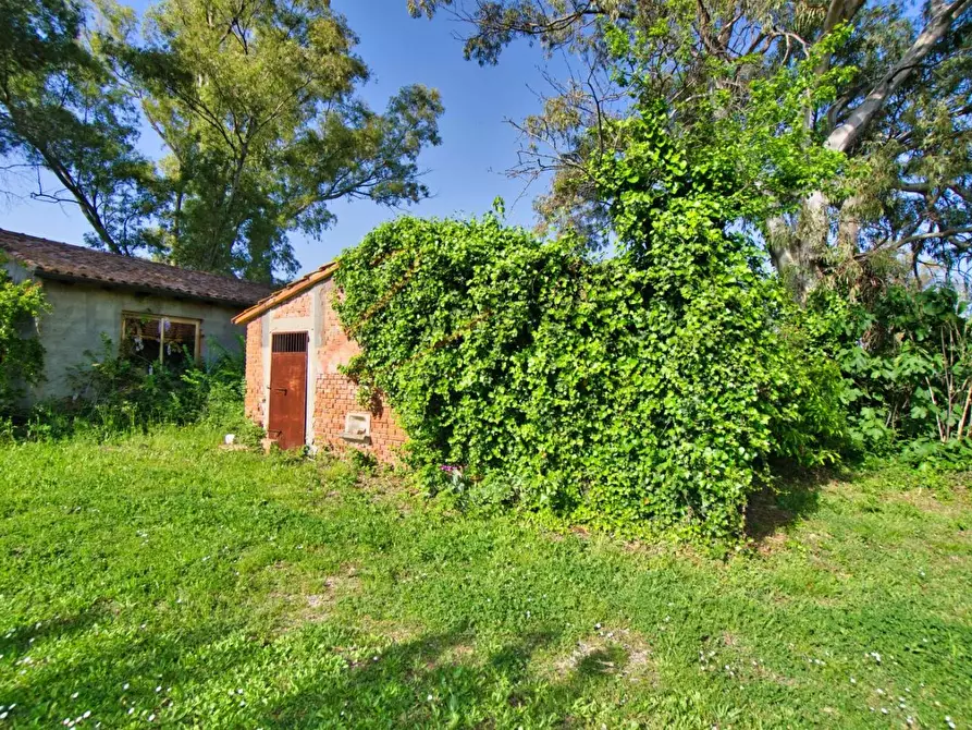 Immagine 16 di Casa semindipendente in vendita  a Suvereto