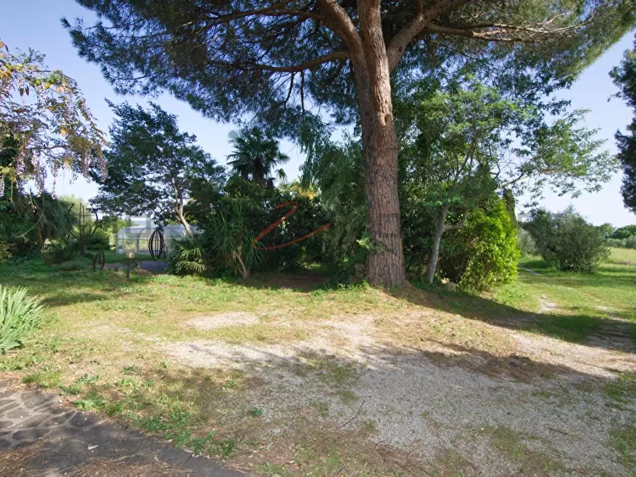 Immagine 53 di Casa semindipendente in vendita  a Suvereto