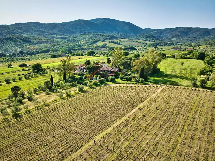 Immagine 3 di Casa semindipendente in vendita  a Suvereto