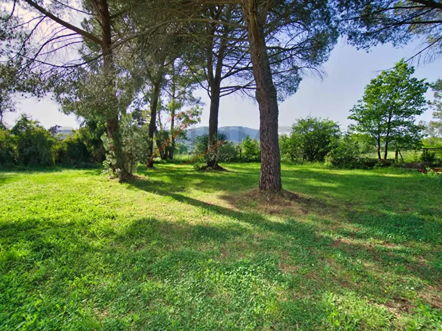 Immagine 17 di Casa semindipendente in vendita  a Suvereto