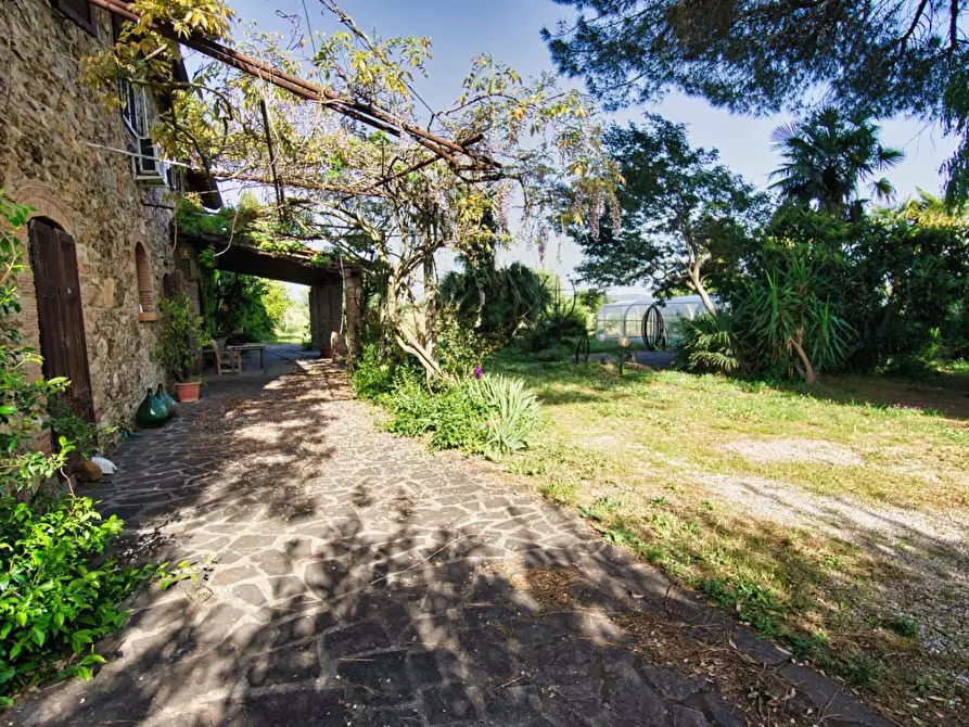 Immagine 57 di Casa semindipendente in vendita  a Suvereto