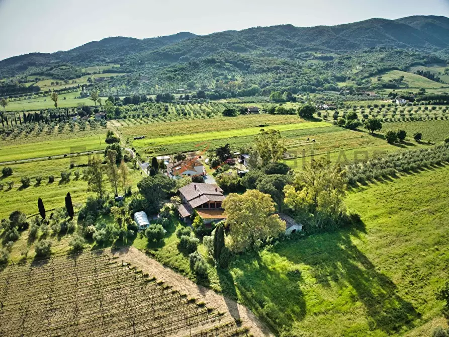 Immagine 2 di Casa semindipendente in vendita  a Suvereto