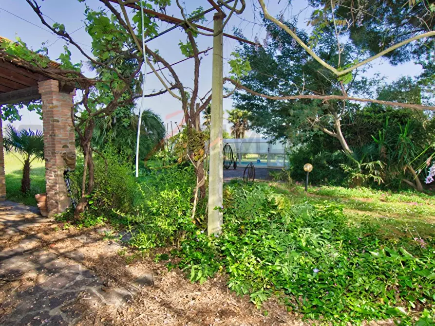 Immagine 62 di Casa semindipendente in vendita  a Suvereto