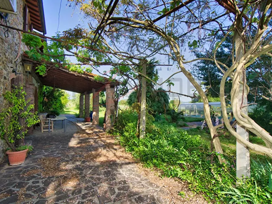 Immagine 61 di Casa semindipendente in vendita  a Suvereto