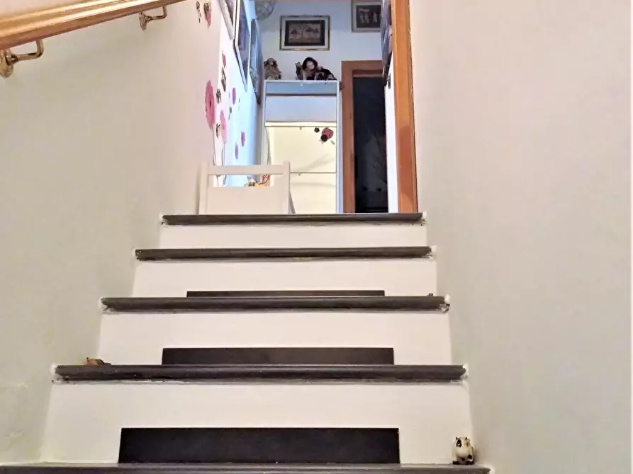 Immagine 7 di Terratetto in vendita  a Pisa