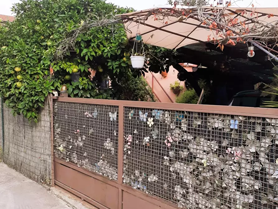 Immagine 22 di Terratetto in vendita  a Pisa