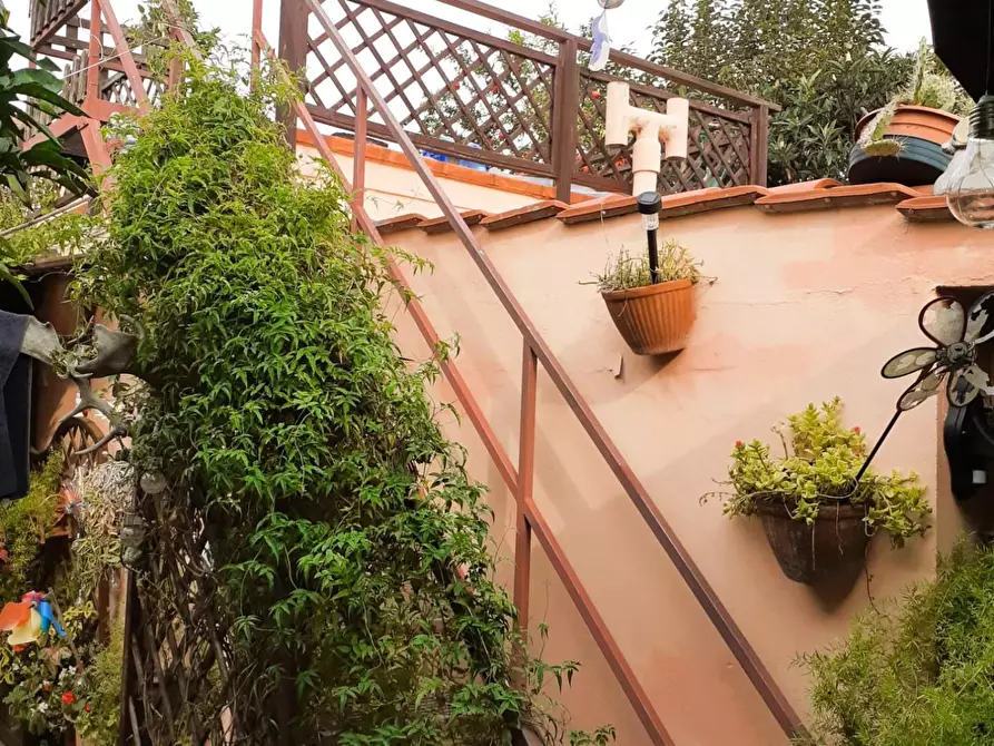 Immagine 17 di Terratetto in vendita  a Pisa