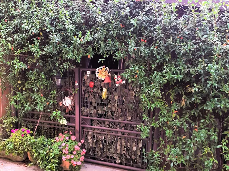 Immagine 21 di Terratetto in vendita  a Pisa