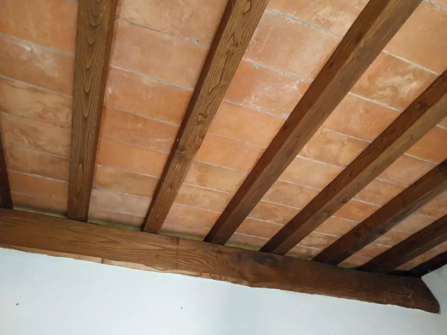 Immagine 5 di Rustico / casale in vendita  a Camaiore