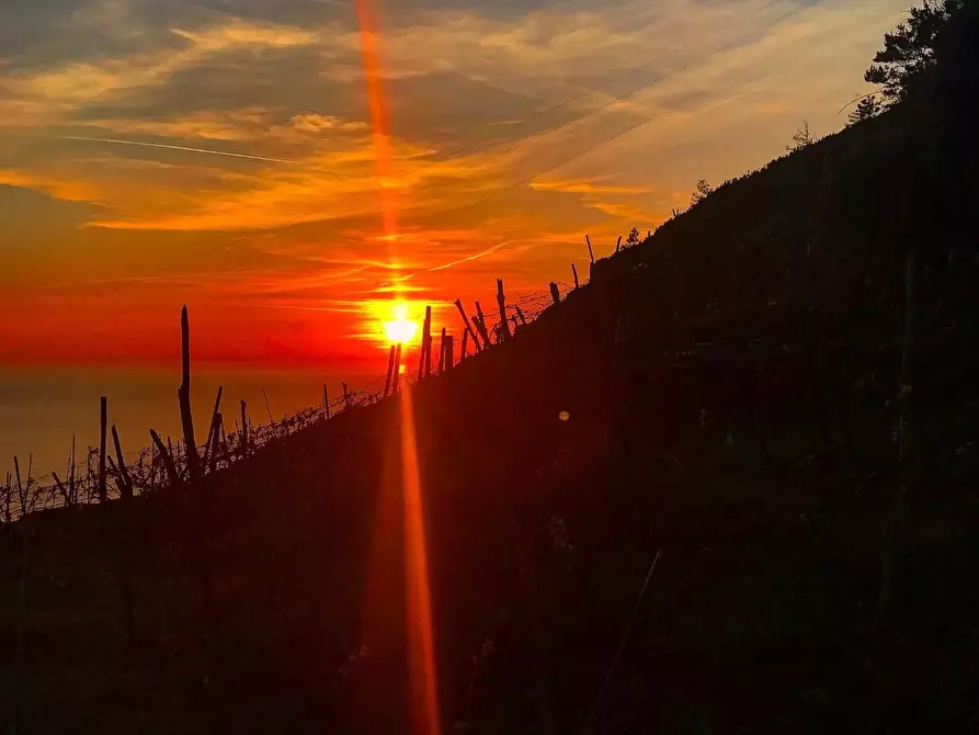 Immagine 6 di Rustico / casale in vendita  a Riomaggiore