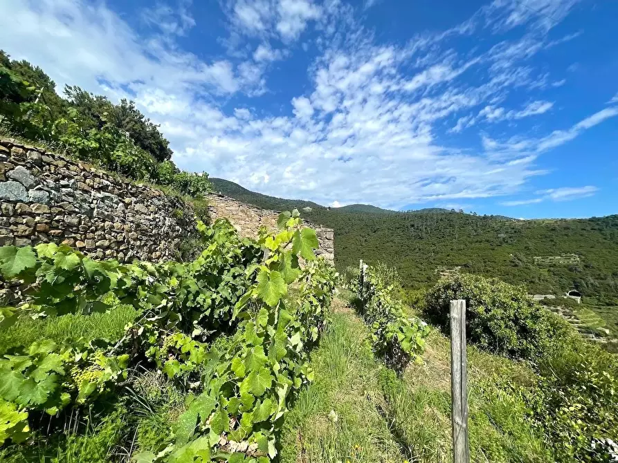 Immagine 10 di Rustico / casale in vendita  a Riomaggiore