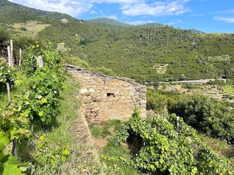 Immagine 8 di Rustico / casale in vendita  a Riomaggiore