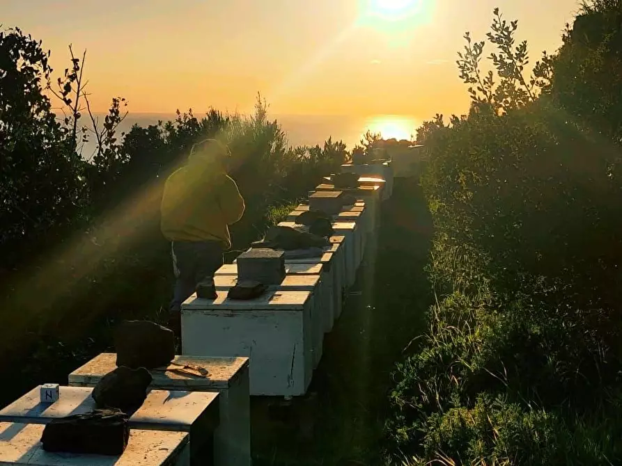Immagine 5 di Rustico / casale in vendita  a Riomaggiore