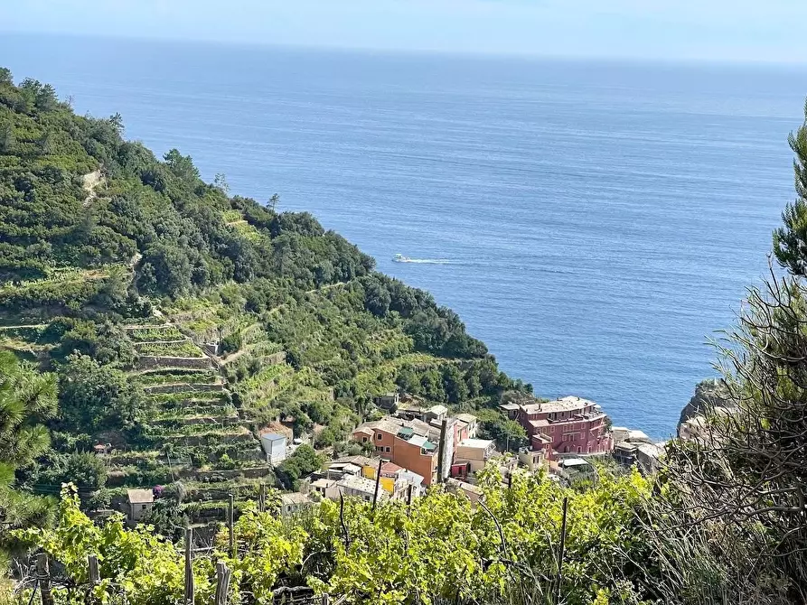 Immagine 4 di Rustico / casale in vendita  a Riomaggiore