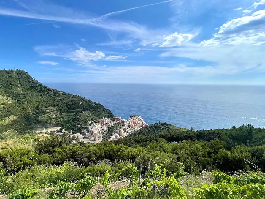 Immagine 13 di Rustico / casale in vendita  a Riomaggiore