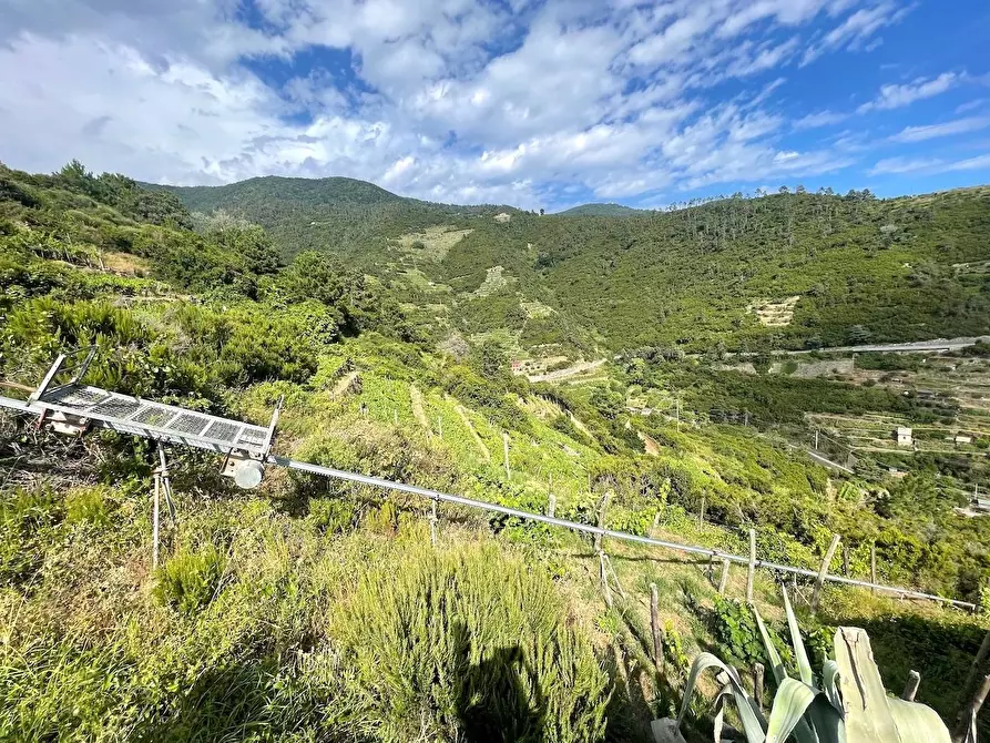 Immagine 15 di Rustico / casale in vendita  a Riomaggiore