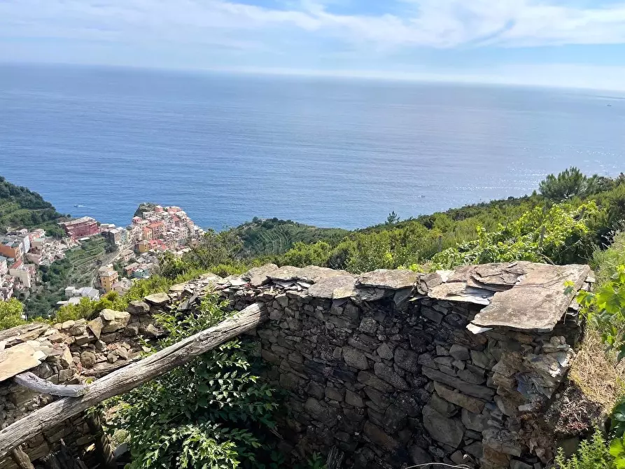 Immagine 9 di Rustico / casale in vendita  a Riomaggiore