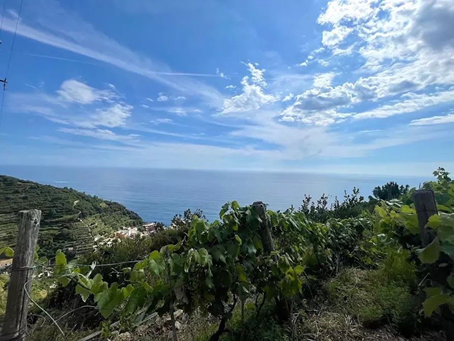 Immagine 12 di Rustico / casale in vendita  a Riomaggiore