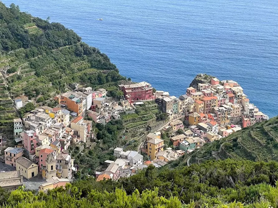 Immagine 3 di Rustico / casale in vendita  a Riomaggiore