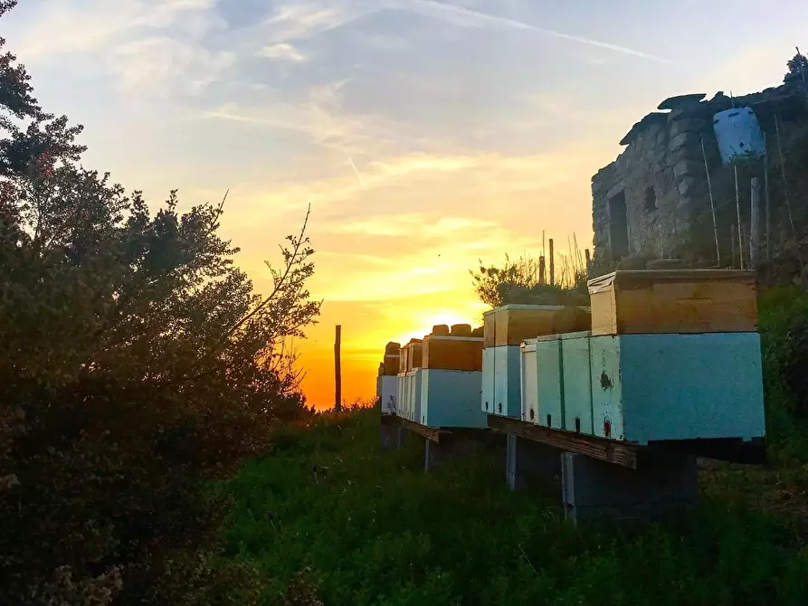 Immagine 7 di Rustico / casale in vendita  a Riomaggiore