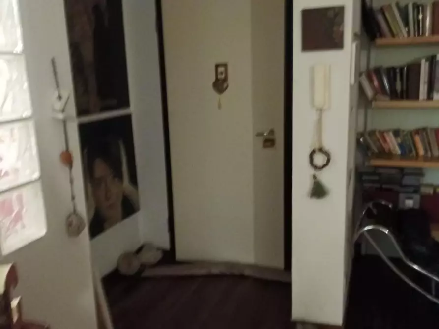 Immagine 14 di Appartamento in vendita  a Carrara