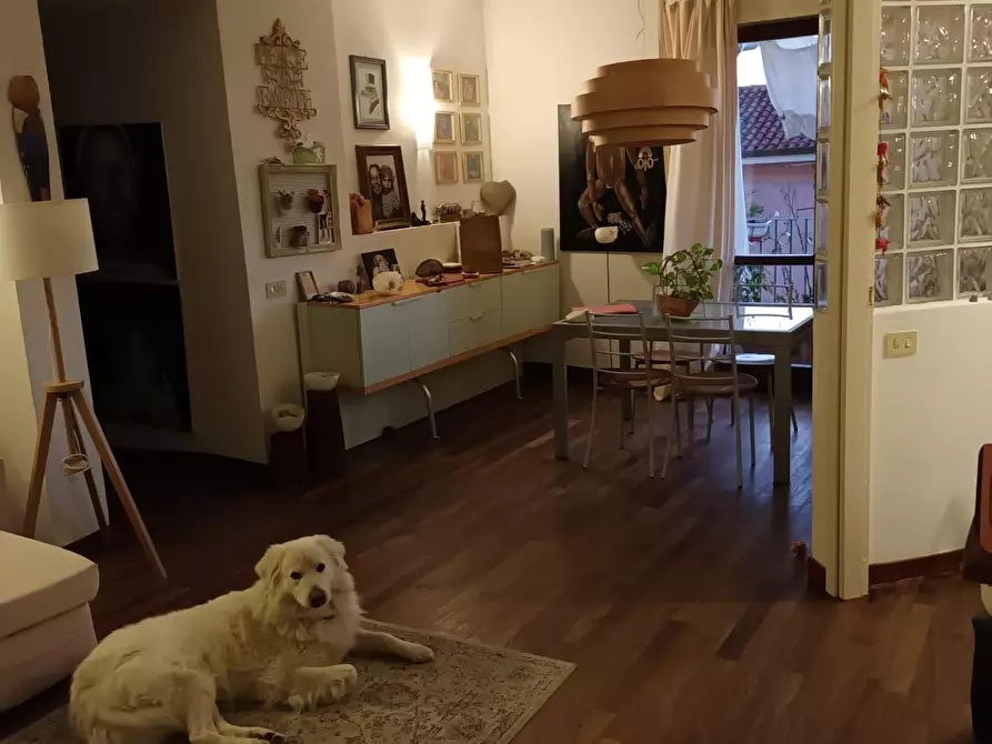 Immagine 6 di Appartamento in vendita  a Carrara