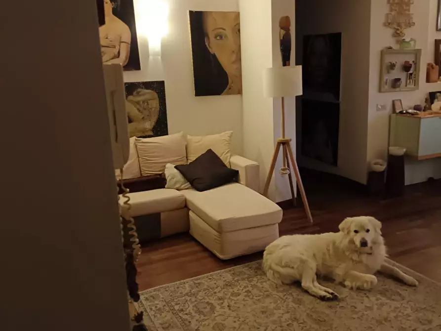 Immagine 4 di Appartamento in vendita  a Carrara