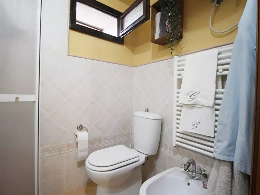 Immagine 16 di Casa colonica in vendita  a Vinci