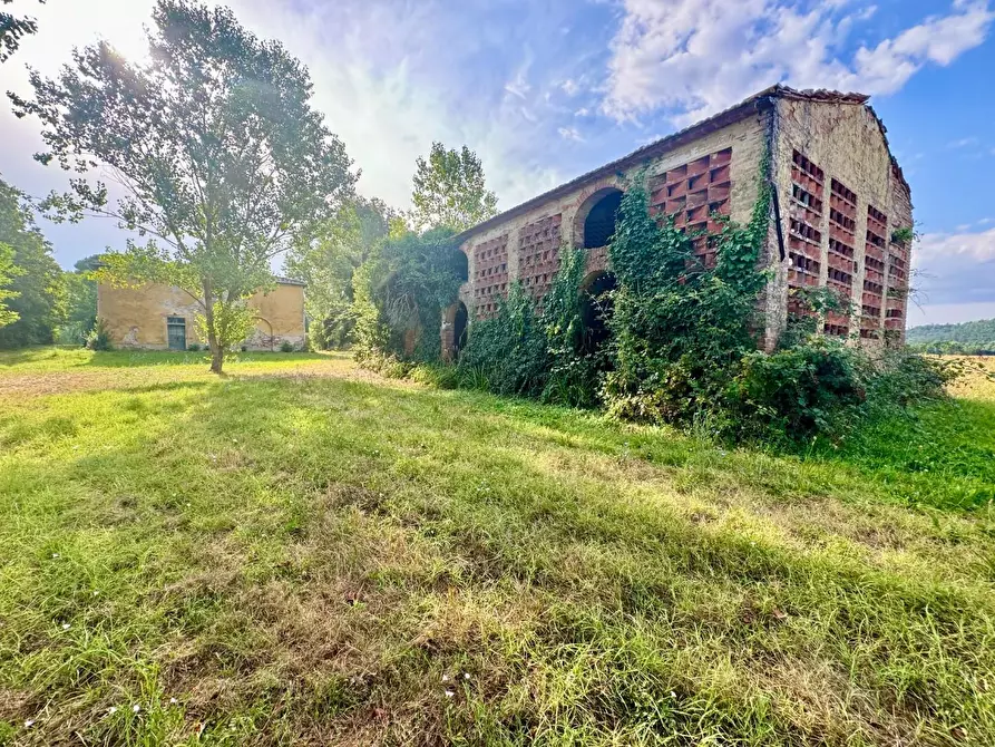 Immagine 7 di Rustico / casale in vendita  a Peccioli