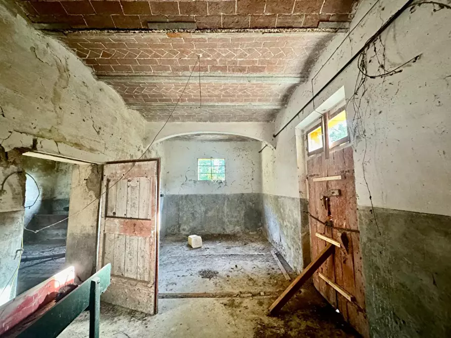 Immagine 16 di Rustico / casale in vendita  a Peccioli