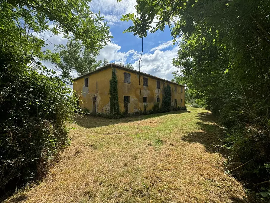 Immagine 3 di Rustico / casale in vendita  a Peccioli