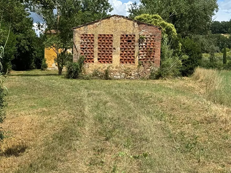 Immagine 9 di Rustico / casale in vendita  a Peccioli