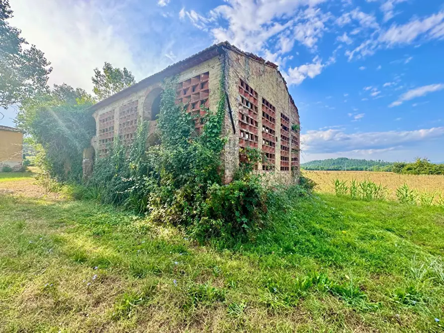 Immagine 11 di Rustico / casale in vendita  a Peccioli