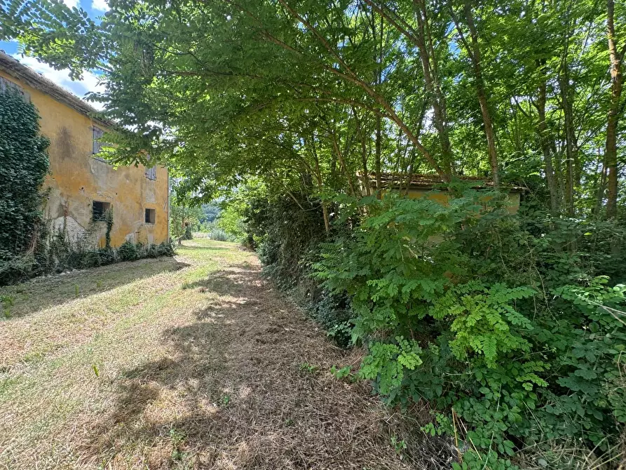 Immagine 8 di Rustico / casale in vendita  a Peccioli