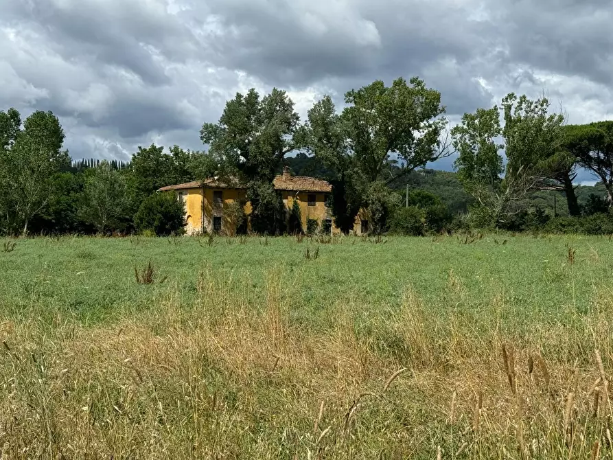 Immagine 13 di Rustico / casale in vendita  a Peccioli