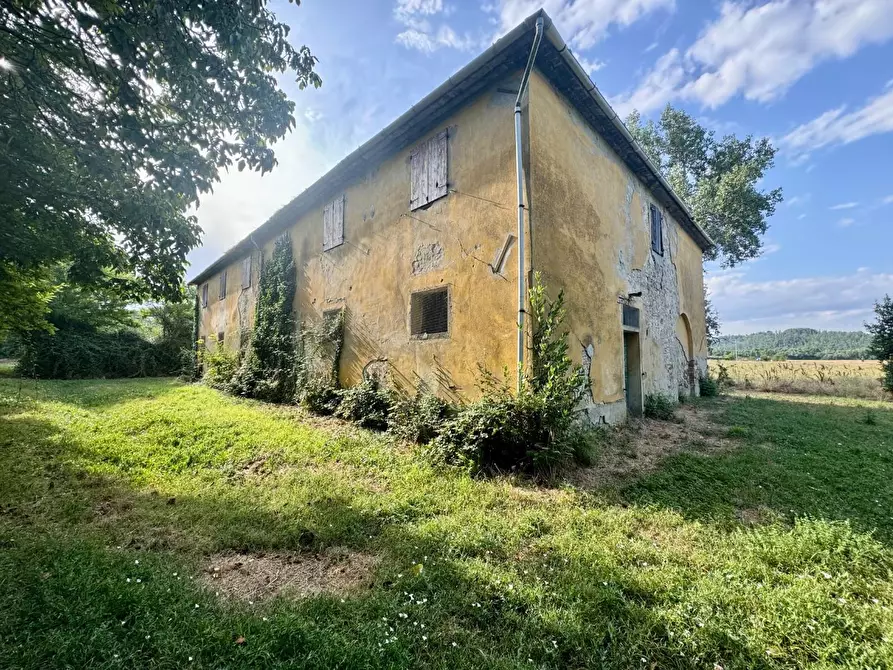 Immagine 1 di Rustico / casale in vendita  a Peccioli