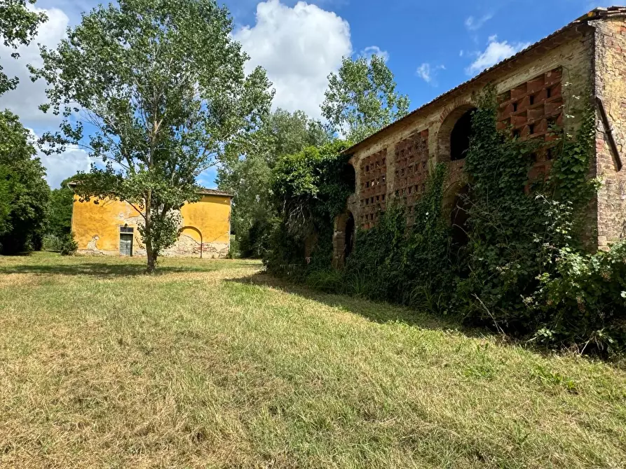 Immagine 10 di Rustico / casale in vendita  a Peccioli