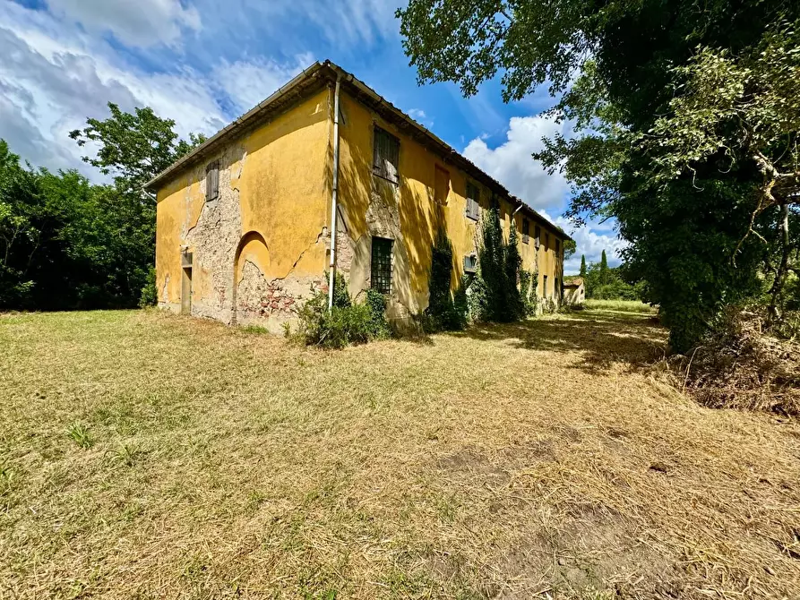 Immagine 5 di Rustico / casale in vendita  a Peccioli