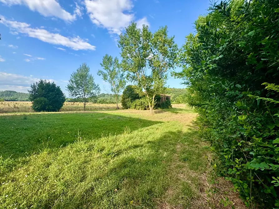 Immagine 14 di Rustico / casale in vendita  a Peccioli