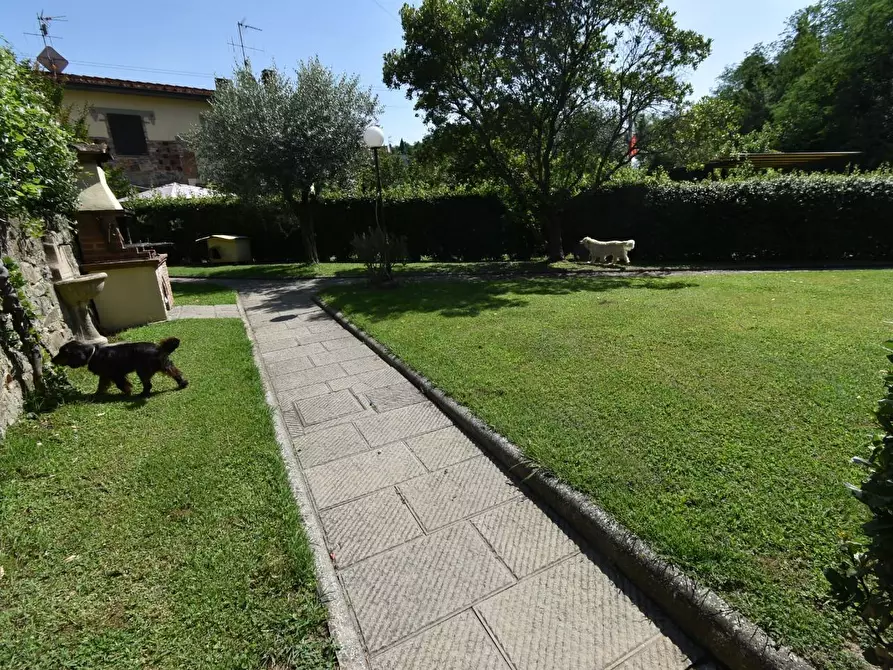 Immagine 59 di Terratetto in vendita  a San Giuliano Terme