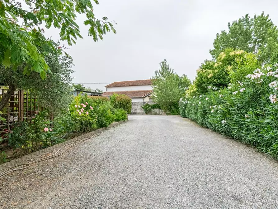 Immagine 11 di Casa indipendente in vendita  a Ponsacco