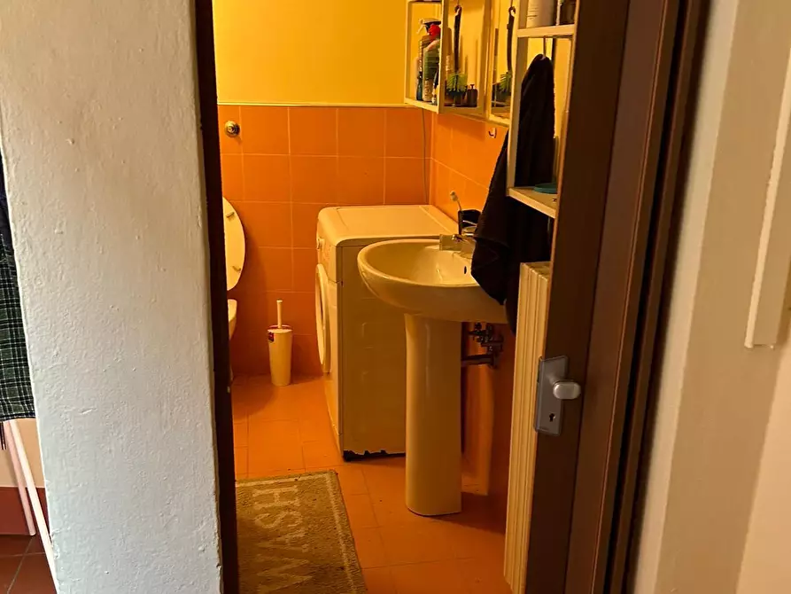 Immagine 26 di Appartamento in vendita  a Peccioli