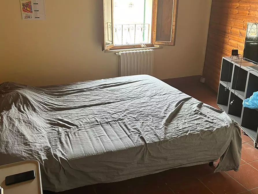 Immagine 16 di Appartamento in vendita  a Peccioli